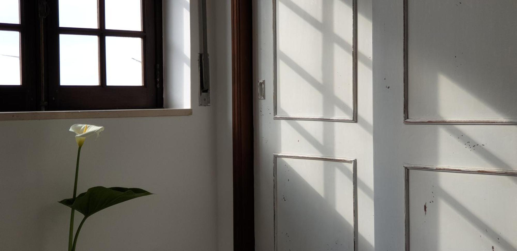 Boa Onda Guesthouse 阿通奎亚·达·巴利亚 客房 照片